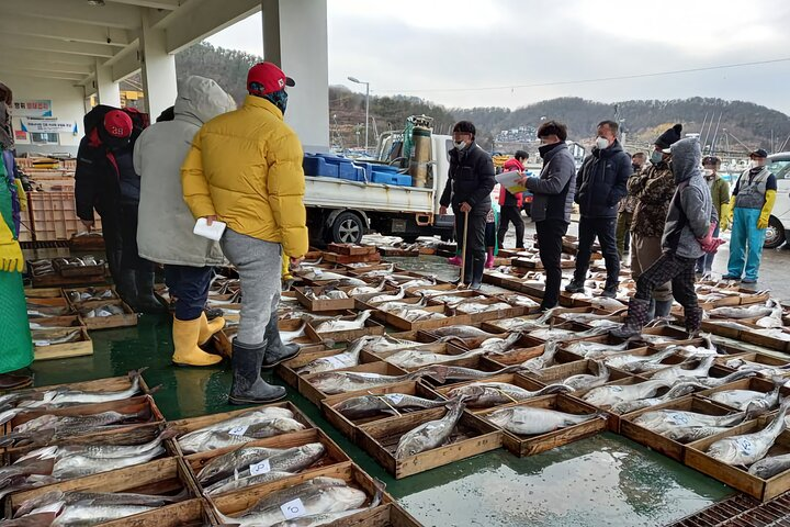 Cod Auction and Clam Auction in Winter - Photo 1 of 11